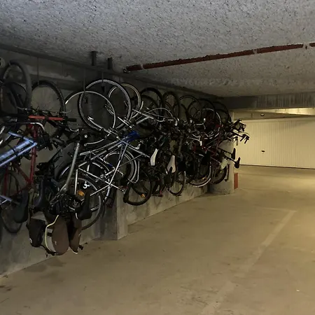 Appartamento L'aloha